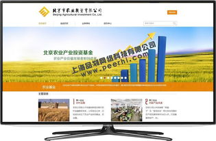 松江地區(qū)網(wǎng)站服務(wù)全攻略 從設(shè)計(jì)、改版到維護(hù)與咨詢